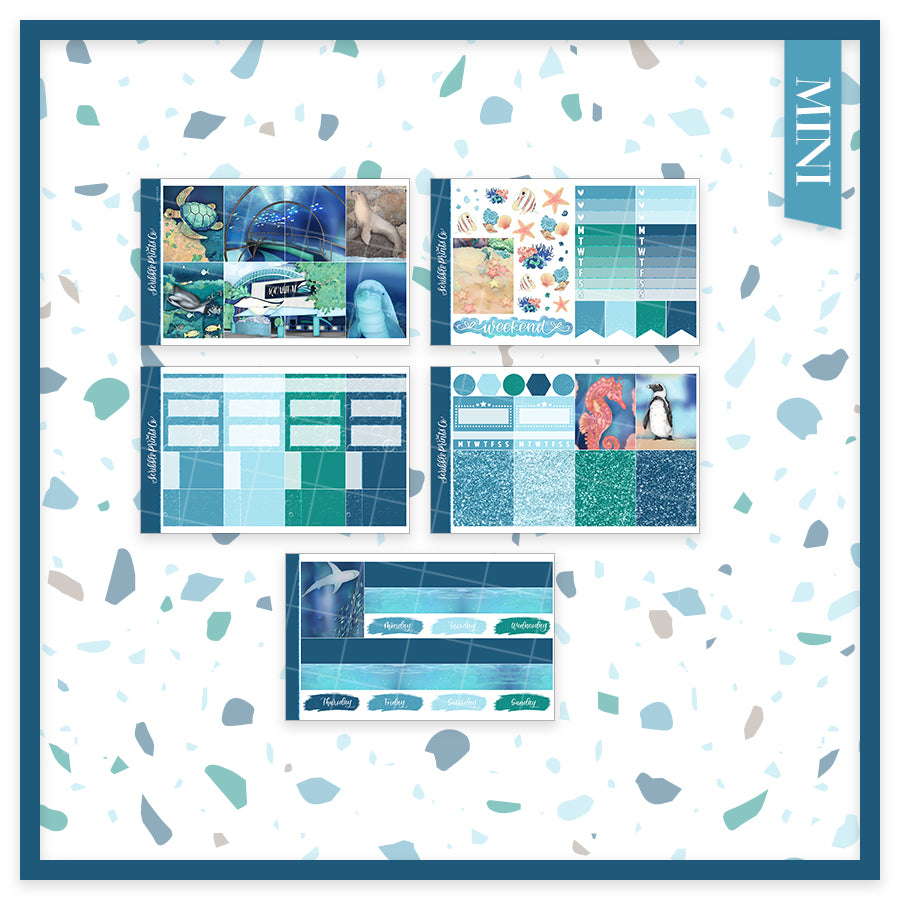 Aquarium - Weekly Kit