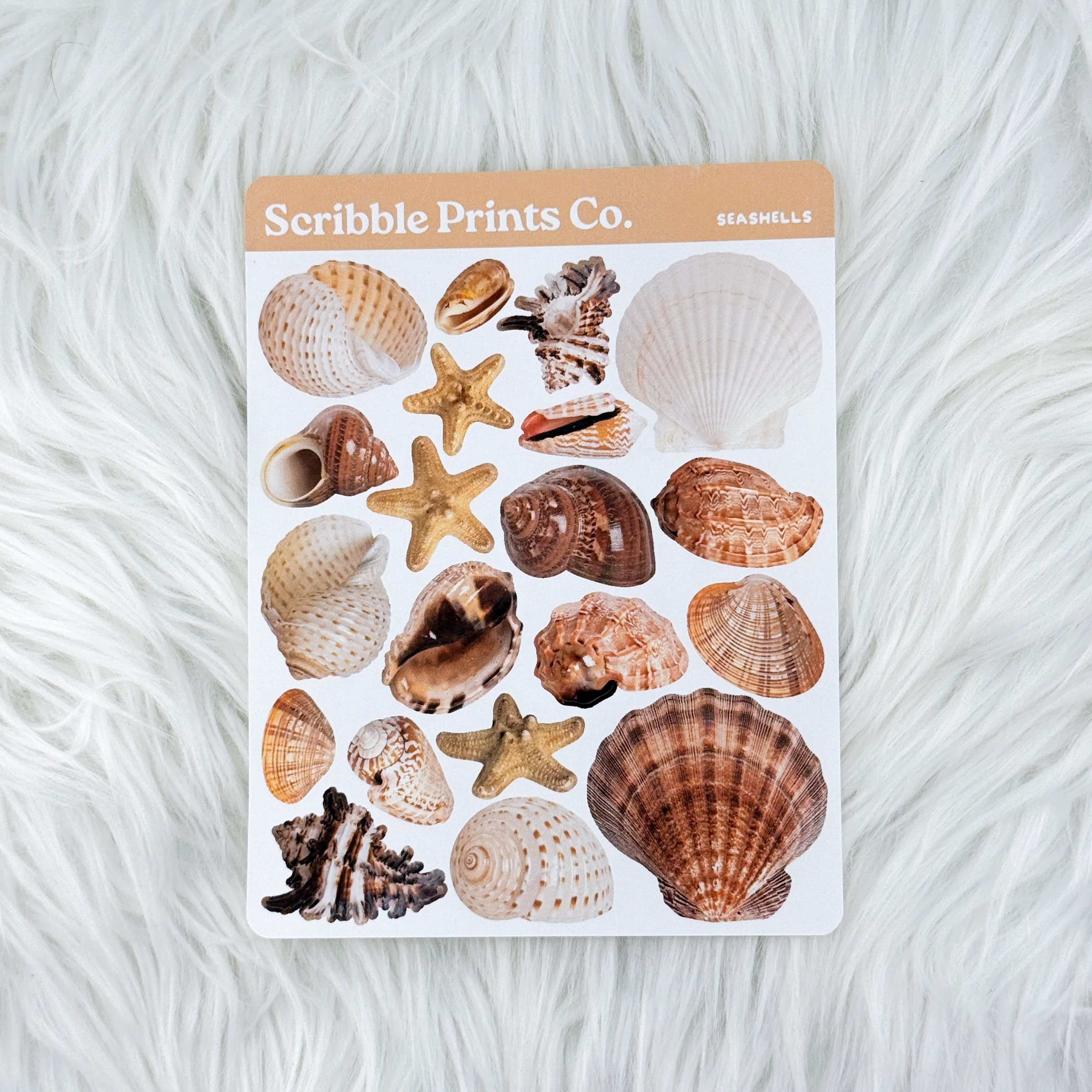 Seashells Deco Sticker Sheet