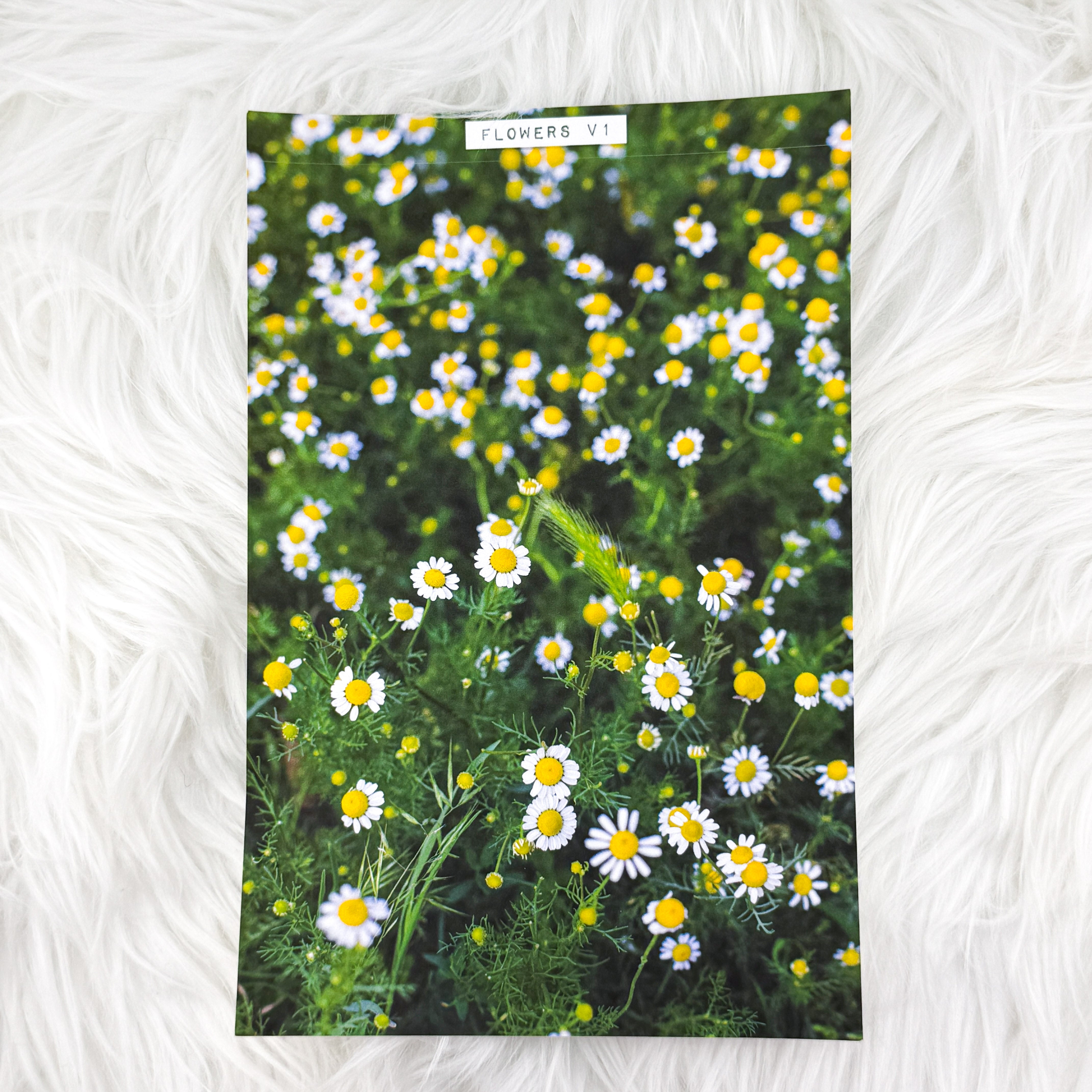 Flowers V1 Journal Background | A5 Matte Sticker Sheet