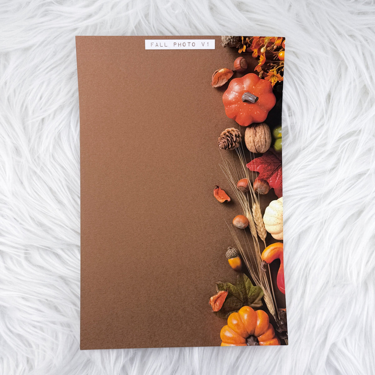 Fall Photo V1 Journal Background | A5 Matte Sticker Sheet
