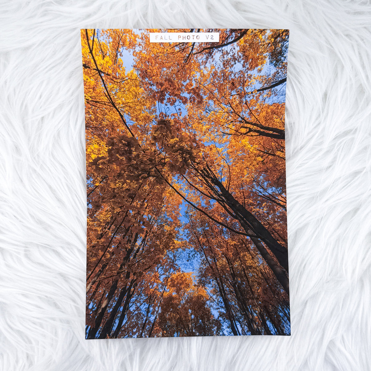 Fall Photo V2 Journal Background | A5 Matte Sticker Sheet