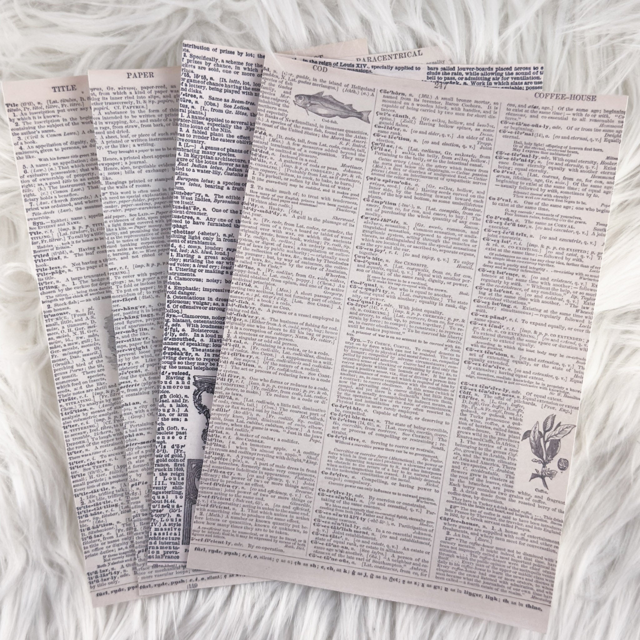 Vintage Dictionary - A5 Matte Sticker Paper (Set of 4)