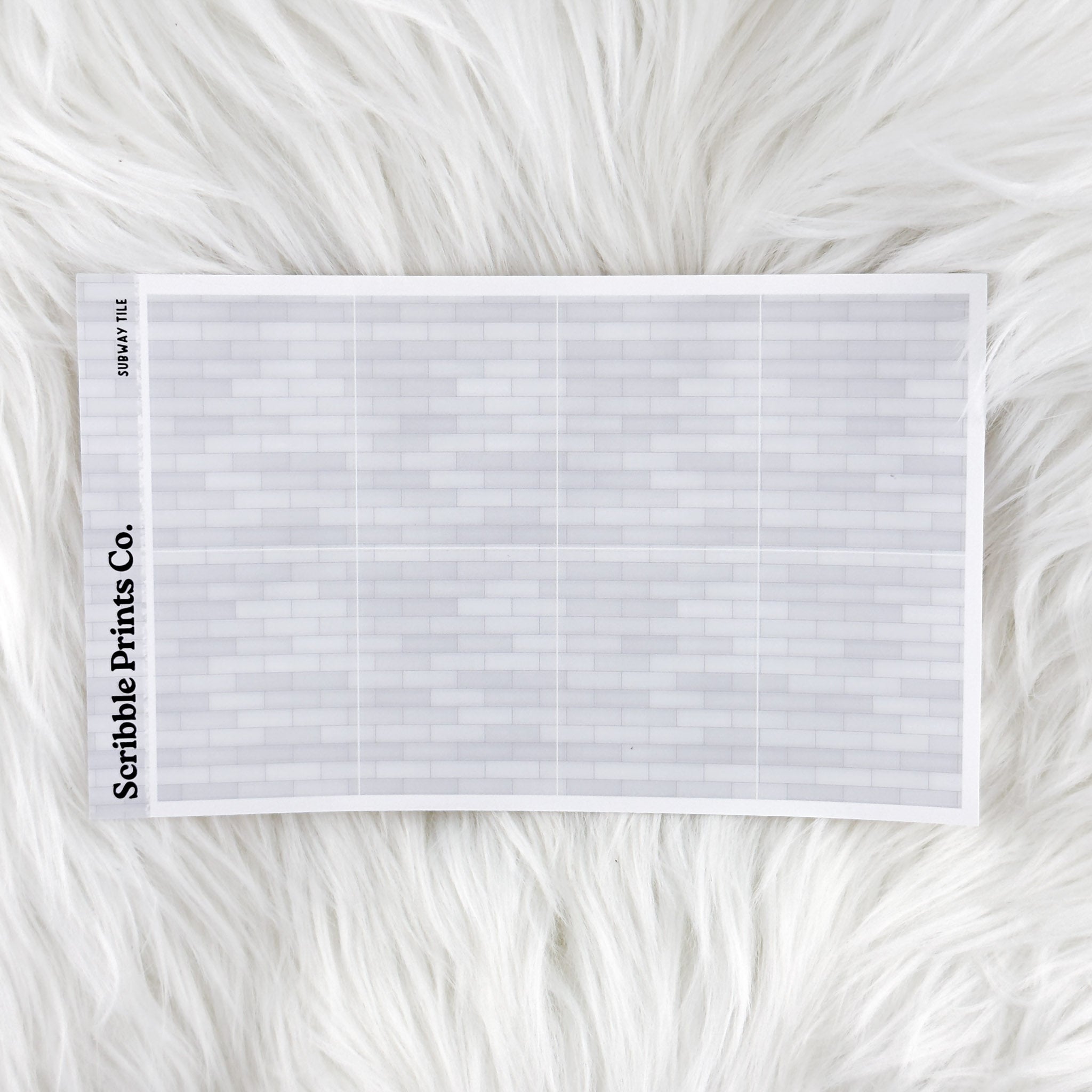 Solid Full Boxes // Multicolor