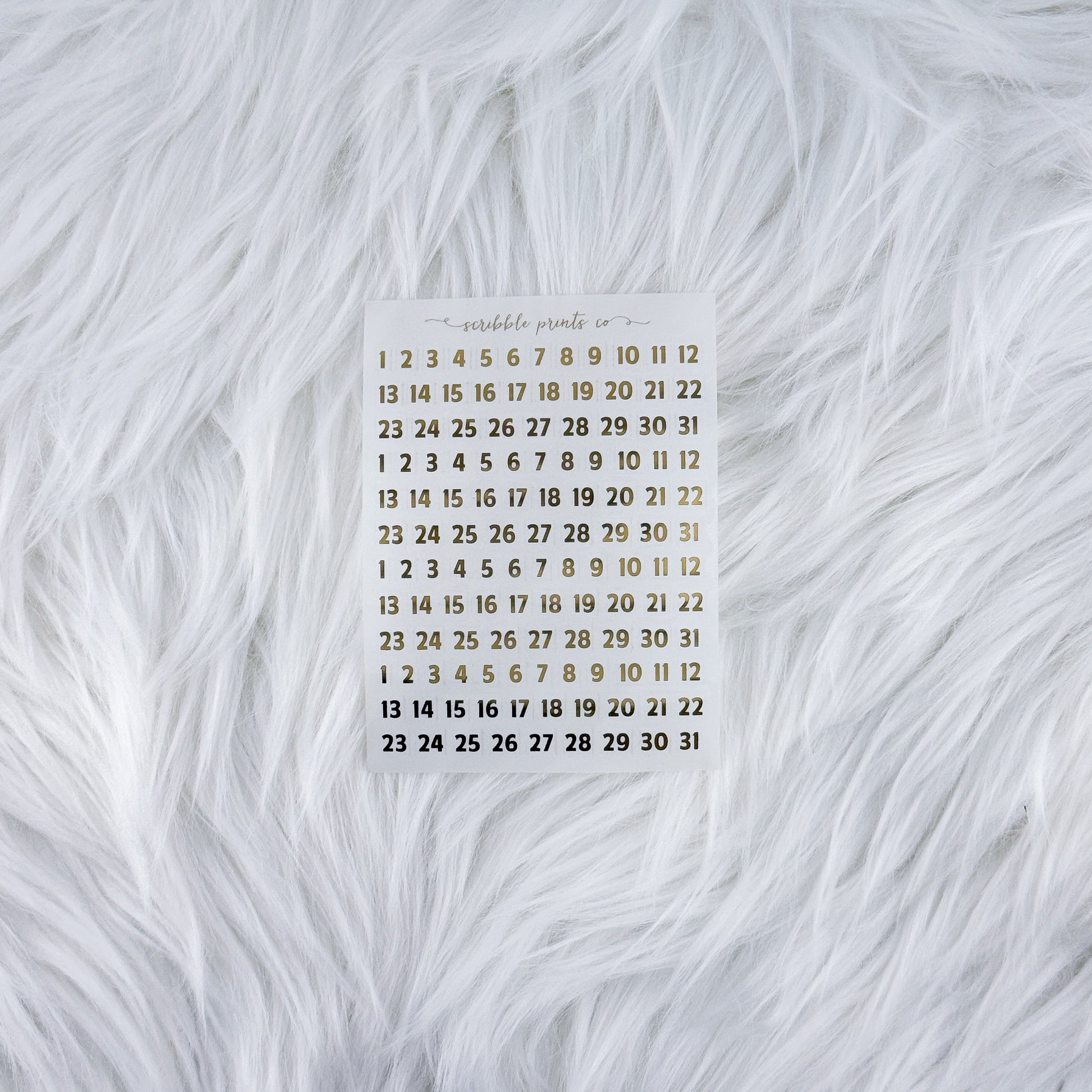 Date Squares // Foil
