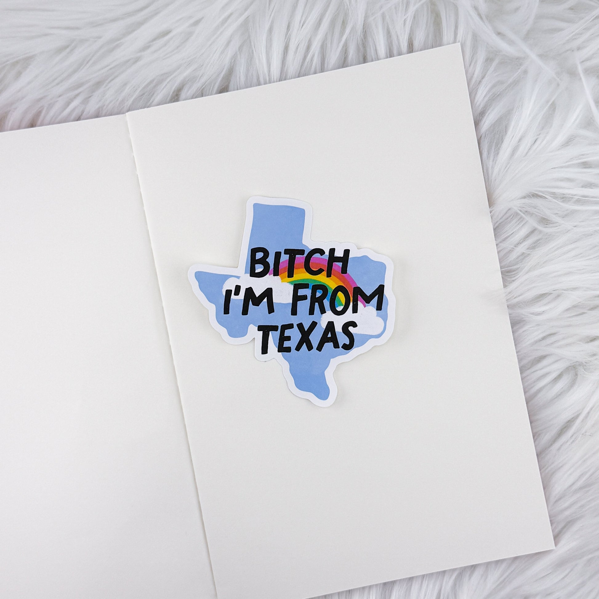 Bitch I'm From Texas – Journal Deco // Matte Sticker