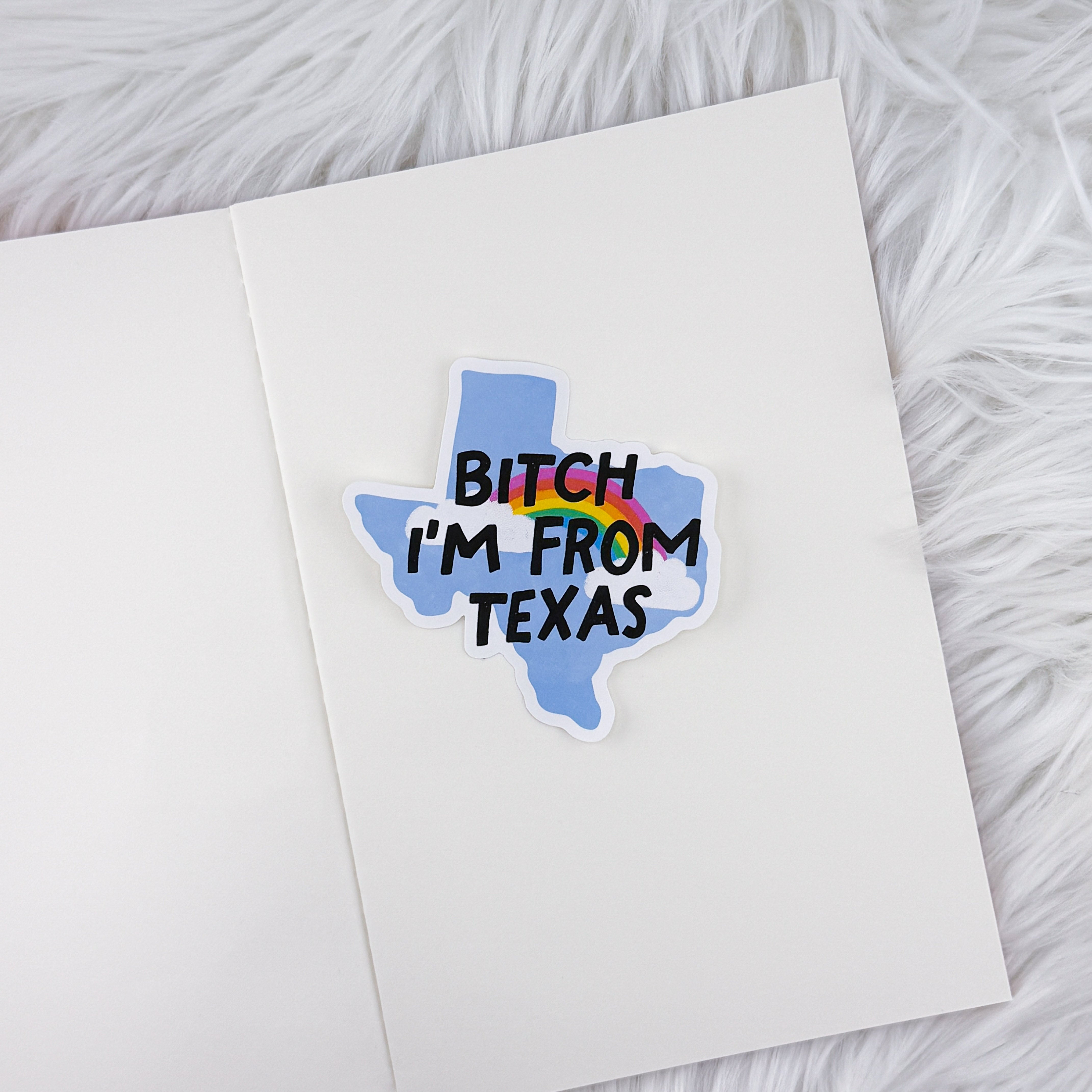 Bitch I'm From Texas // Large Matte Deco Sticker for Journals