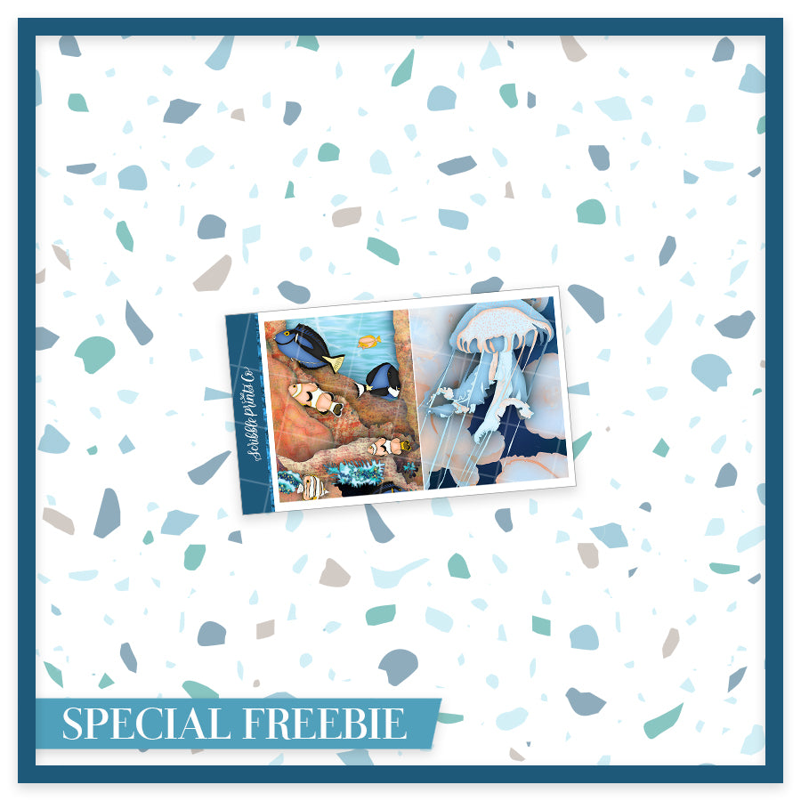 Aquarium - Weekly Kit